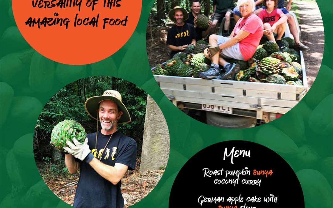 SUN 24 MAR, 5-8PM The Great Cooran Bunya Feast