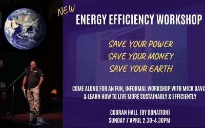 SUN 7 APRIL 2.30-4.30PM Energy Efficiency Workshop