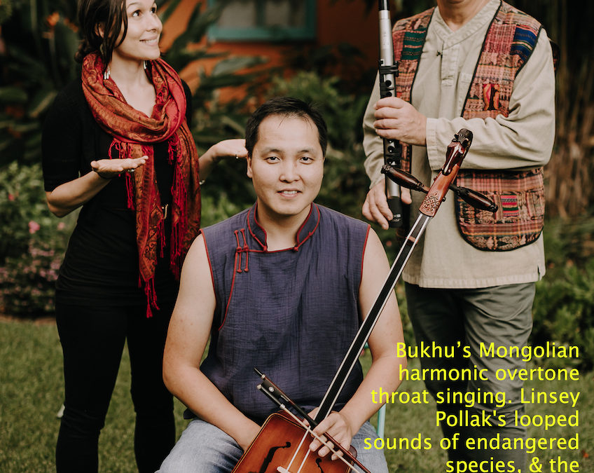 Dangerous Song + Bukhu with Linsey Pollak