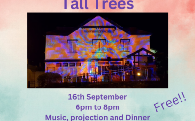 A night of light and Sound at Tall Trees 2023