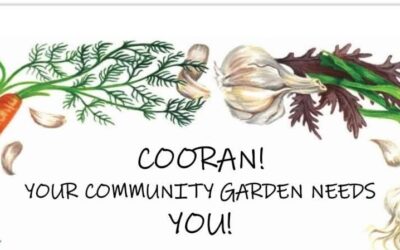 Sunday 23rd Feb 2025 3pm Cooran Community Garden Meeting